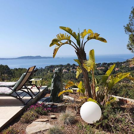 Pretty House With Sea View On The Hy Res Villa Hyeres Exterior photo